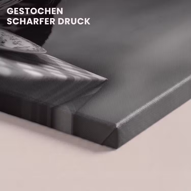Bengaal - Kat - Tafelkleed - Zwart - Wit - Dier canvas 2cm klein -closeup_print_DE