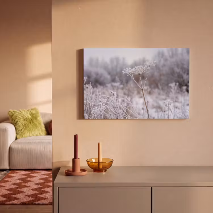 Schermbloem - Rijp - Kristallen - Winter - Delicaat canvas 2cm klein -sfeer1