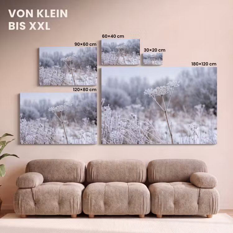 Schermbloem - Rijp - Kristallen - Winter - Delicaat canvas 2cm klein -Xsfeer8_DE