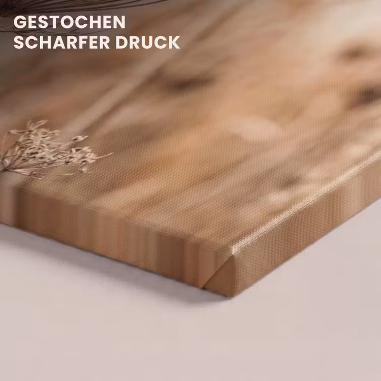 Schermbloem - Droogbloem - Winter - Beige - Minimalistisch canvas 2cm klein -closeup_print_DE