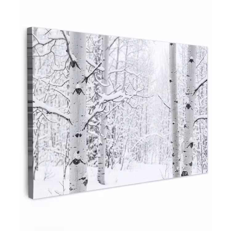Berkenbomen - Sneeuw - Winter - Bos - Wit canvas 2cm klein -z3d