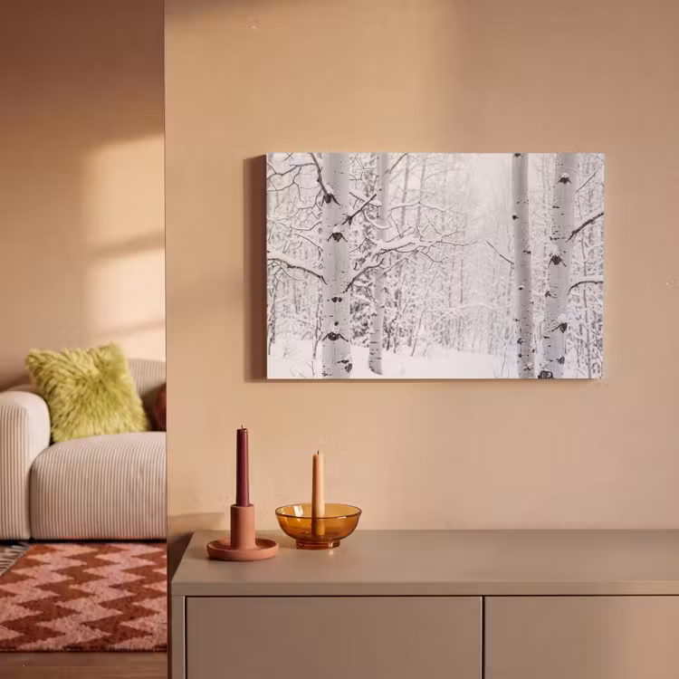 Berkenbomen - Sneeuw - Winter - Bos - Wit canvas 2cm klein -sfeer1