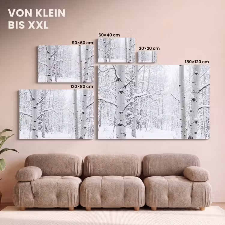 Berkenbomen - Sneeuw - Winter - Bos - Wit canvas 2cm klein -Xsfeer8_DE