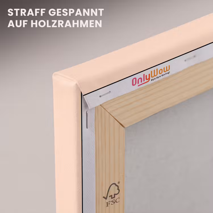 Pale - Peach - Nude canvas 2cm klein 34 -uniquesellingpoint_afwerking-onlywow_DE