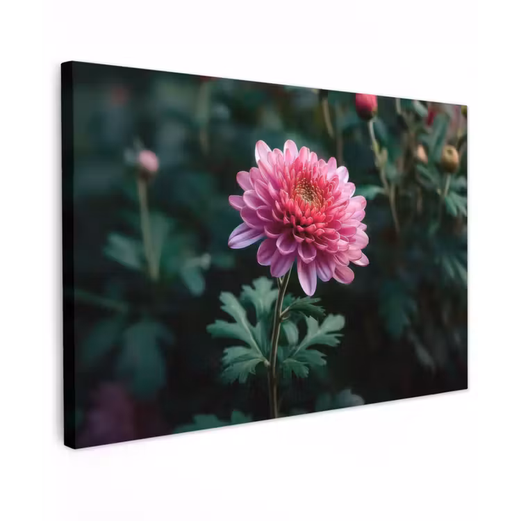 Blad - Chrysant - Roze - Schaduw canvas 2cm klein -z3d