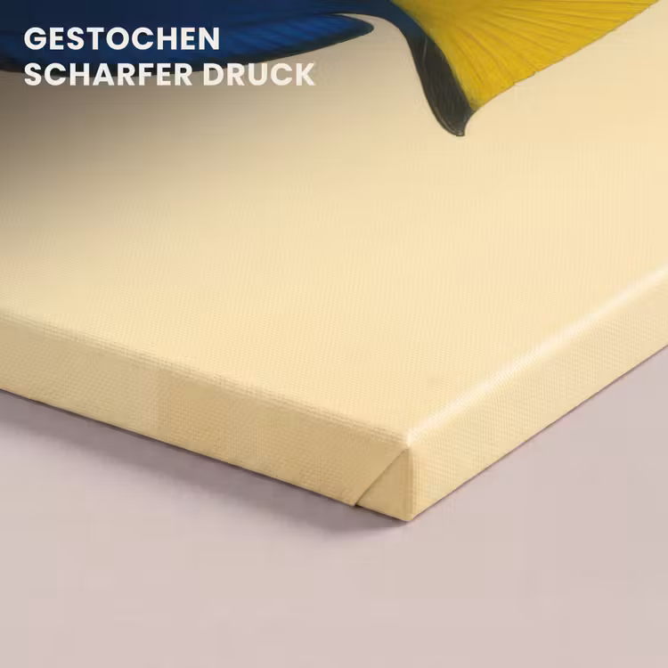 Blauw - Dory - Vis - Staartvin canvas 2cm klein -uniquesellingpoint_afwerking-onlywow_DE