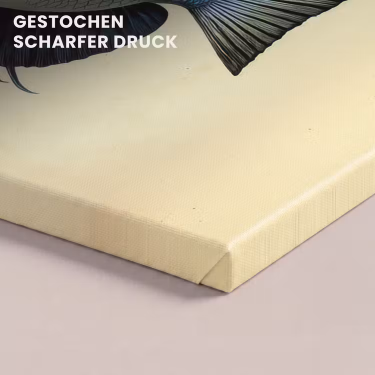 Blauw - Kieuwen - Vis - Illustratie canvas 2cm klein -closeup_print_DE