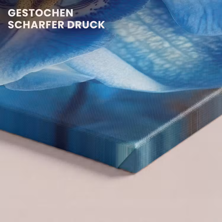 Blauw - Orchidee - Elegeant canvas 2cm klein -closeup_print_DE