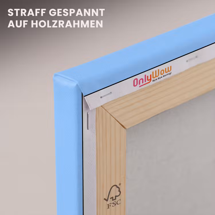 Blauw - Wit - You fuckin rock canvas 2cm klein -uniquesellingpoint_afwerking-onlywow_DE