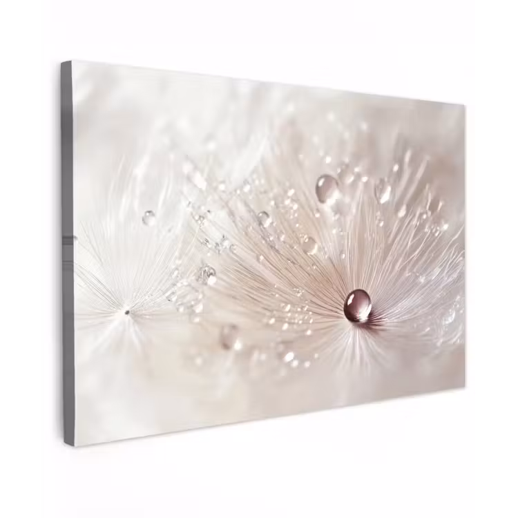 Bloem - Abstract - Wit - Water - Natuur canvas 2cm klein -z3d