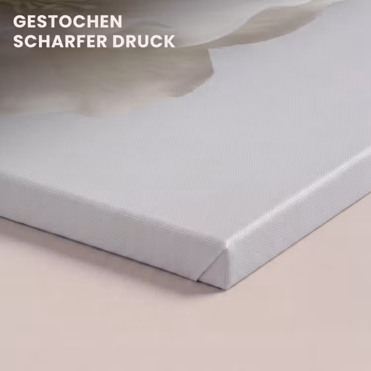 Bloem - Minimalistisch -Wit canvas 2cm klein -closeup_print_DE