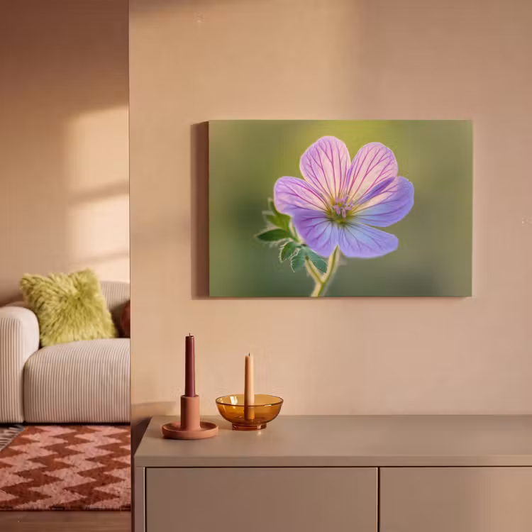 Bloem - Close up - Paars canvas 2cm klein -sfeer1