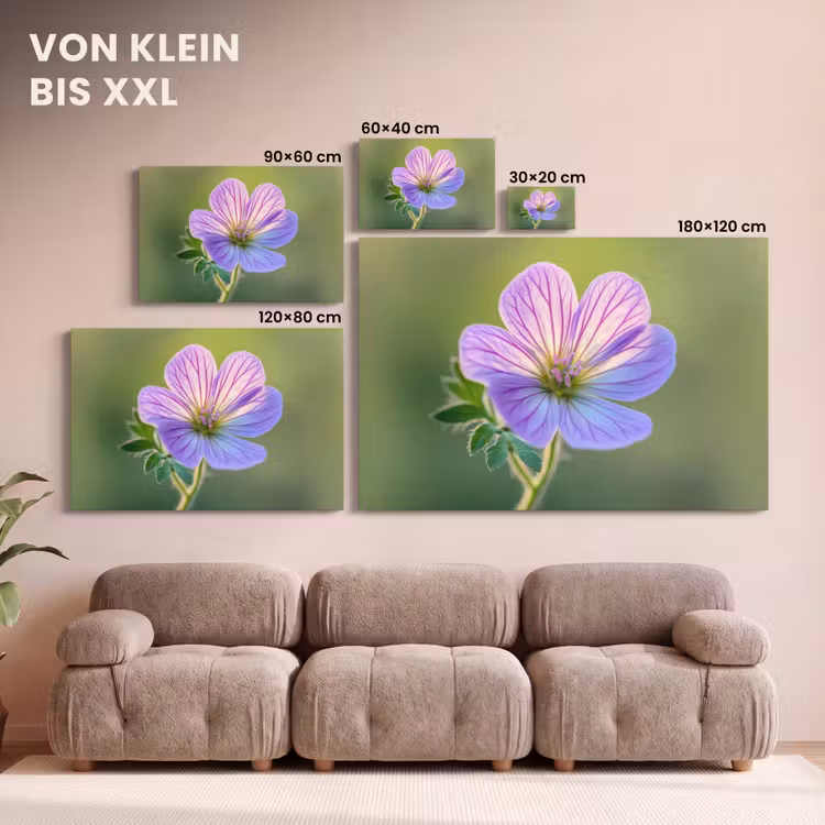 Bloem - Close up - Paars canvas 2cm klein -Xsfeer8_DE