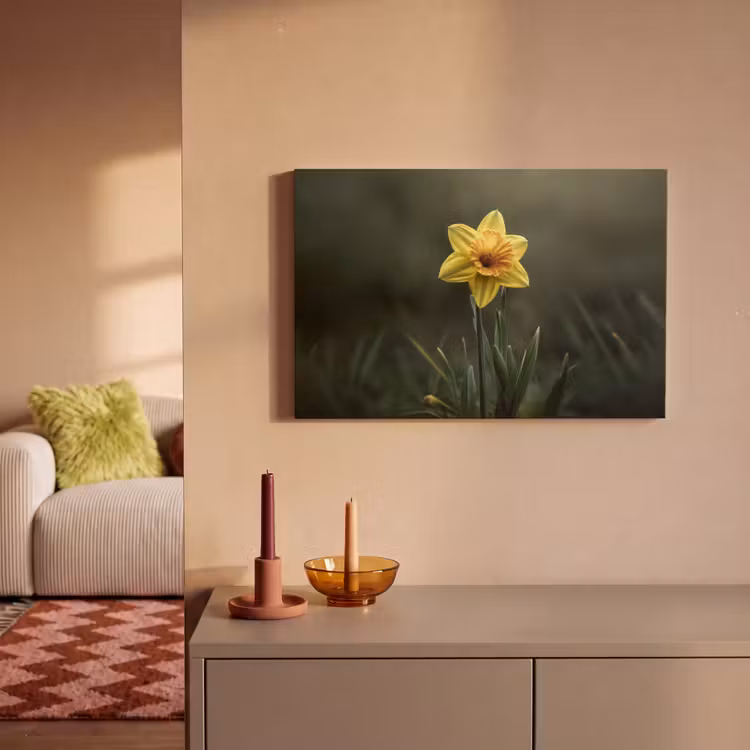 Bloem - Narcis - Gras - Geel canvas 2cm klein -sfeer1