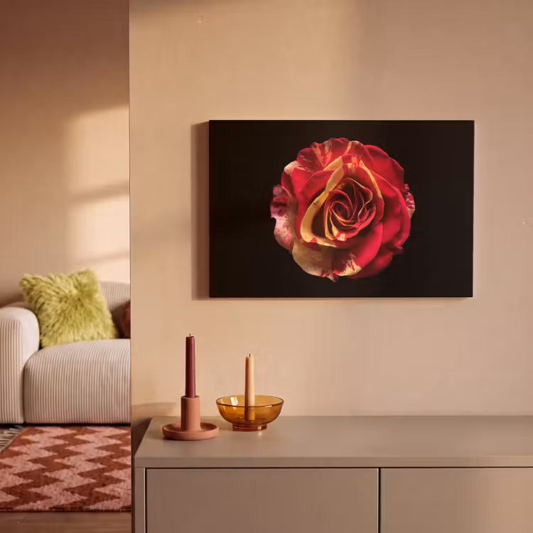 Bloem - Roos - Rood - Zwart canvas 2cm klein -sfeer1