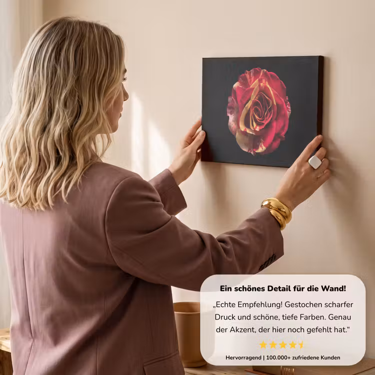 Bloem - Roos - Rood - Zwart canvas 2cm klein -sfeer3