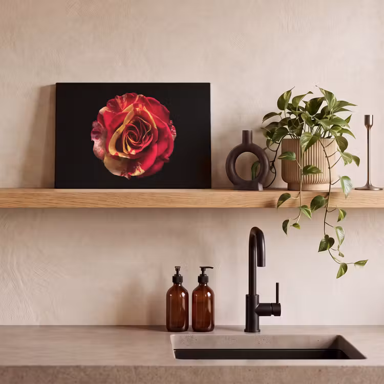 Bloem - Roos - Rood - Zwart canvas 2cm klein -closeup_print_DE