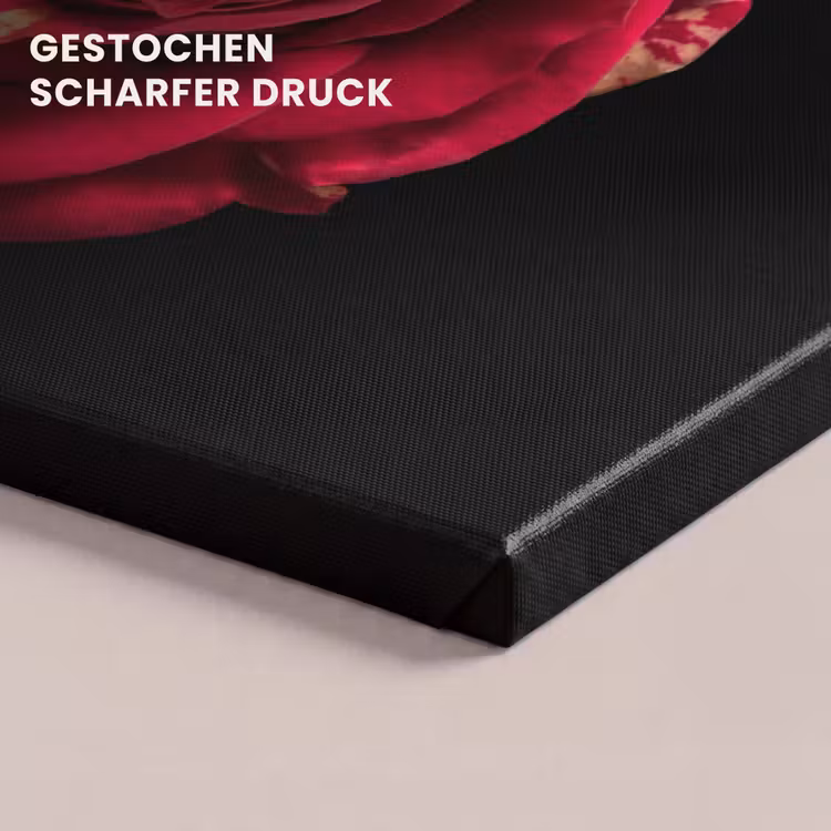 Bloem - Roos - Rood - Zwart canvas 2cm klein -uniquesellingpoint_afwerking-onlywow_DE