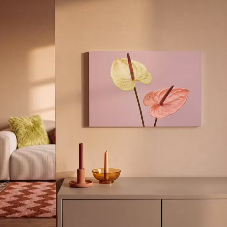 Bloemen - Anthuriums - Geel - Roze canvas 2cm klein -sfeer1