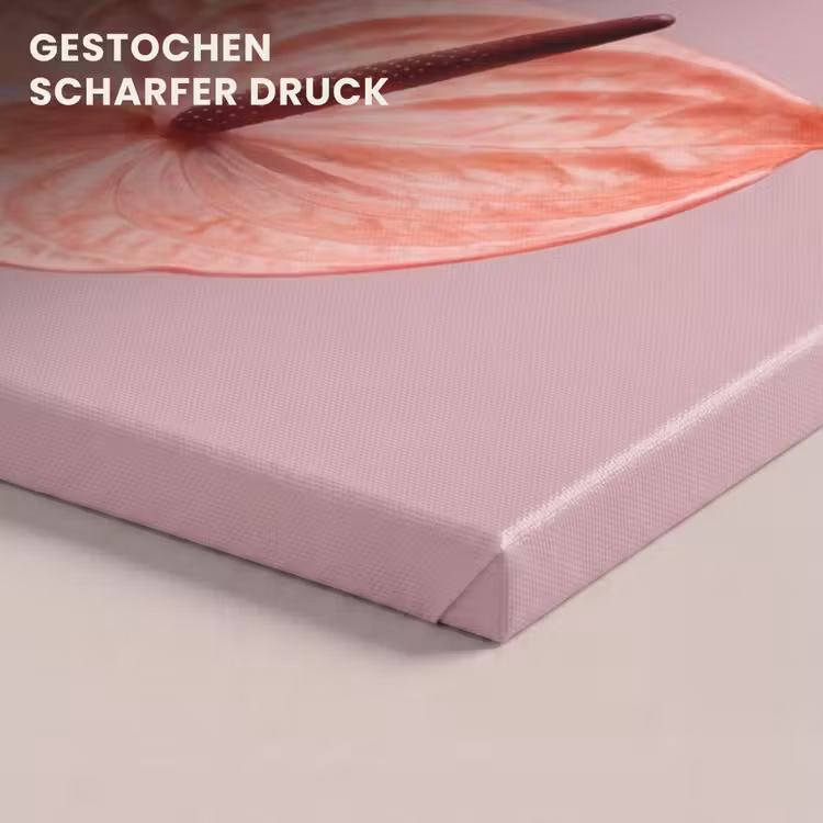 Bloemen - Anthuriums - Geel - Roze canvas 2cm klein -uniquesellingpoint_afwerking-onlywow_DE