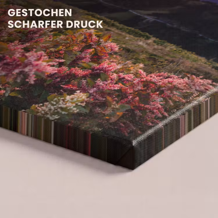 Bloemen - Bergen - Landschap - Nacht - Lucht - Roze canvas 2cm klein -closeup_print_DE