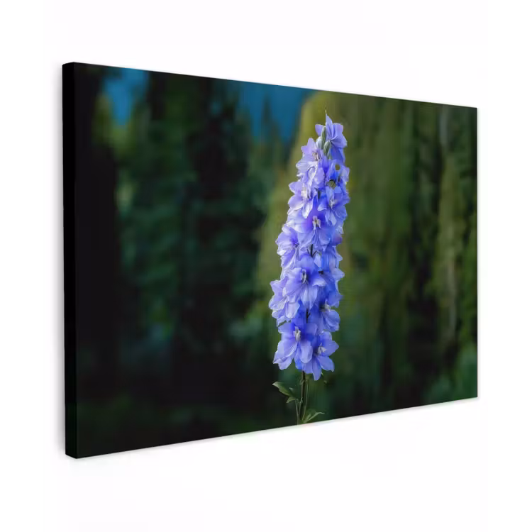 Bloemen - Blauw - Dennenboom canvas 2cm klein -z3d