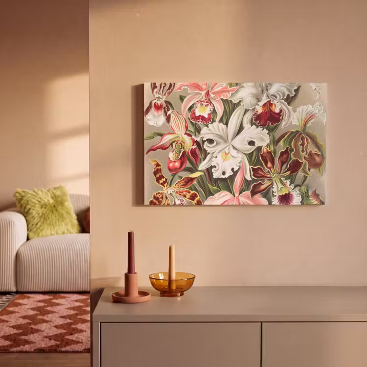 Bloemen - Ernst Haeckel - Vintage - Orchidee canvas 2cm klein -sfeer1