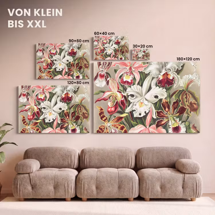 Bloemen - Ernst Haeckel - Vintage - Orchidee canvas 2cm klein -Xsfeer8_DE