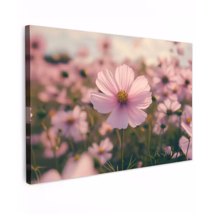 Bloemen - Paars - Wazig canvas 2cm klein -z3d
