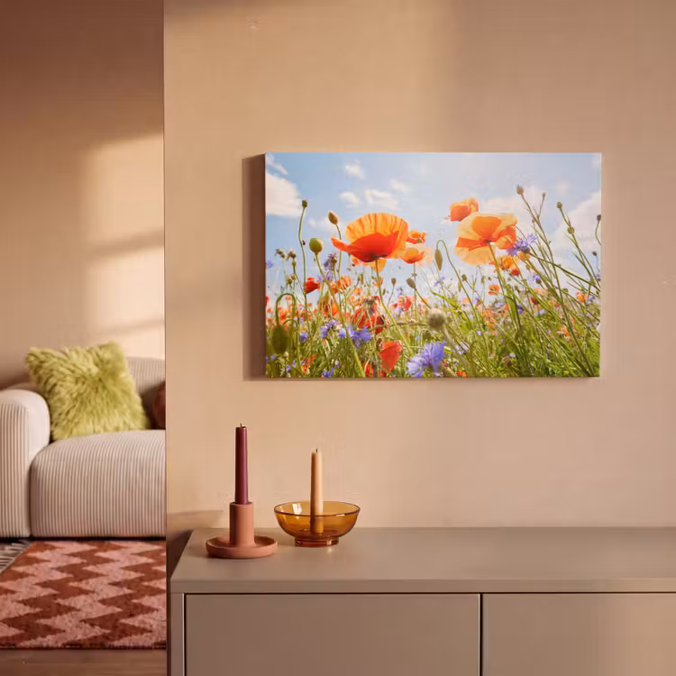 Bloemen - Klaproos - Lente - Natuur - Rood - Blauw canvas 2cm klein -sfeer1