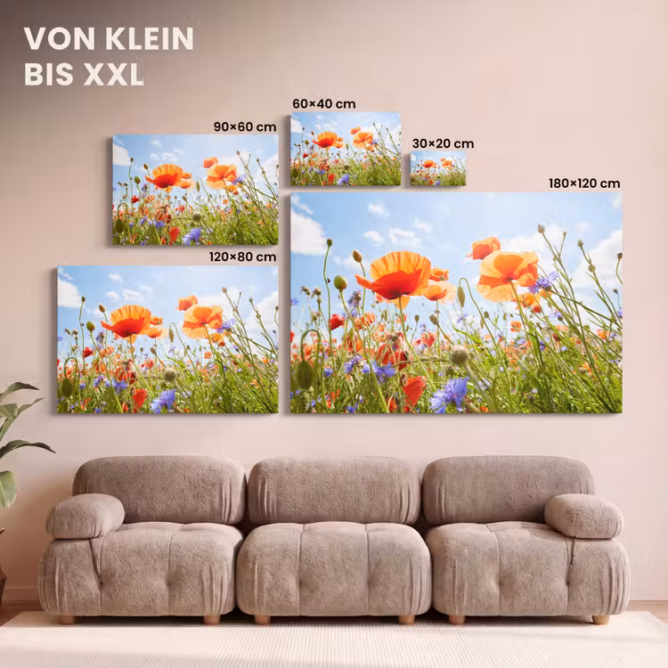 Bloemen - Klaproos - Lente - Natuur - Rood - Blauw canvas 2cm klein -Xsfeer8_DE