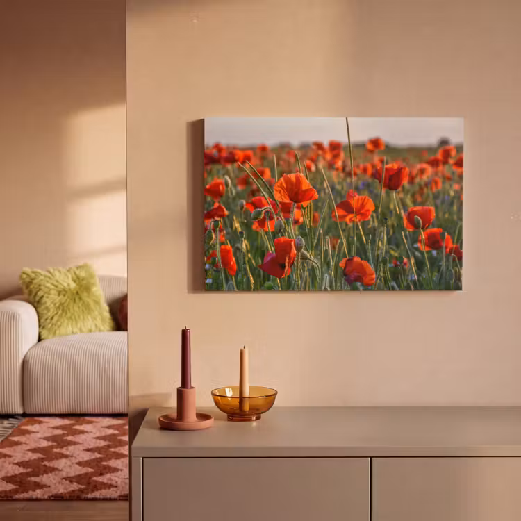 Bloemen - Klaprozen - Natuur - Rood canvas 2cm klein -sfeer1