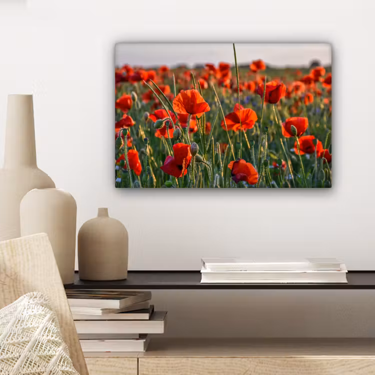 Bloemen - Klaprozen - Natuur - Rood canvas 2cm klein -sfeer6