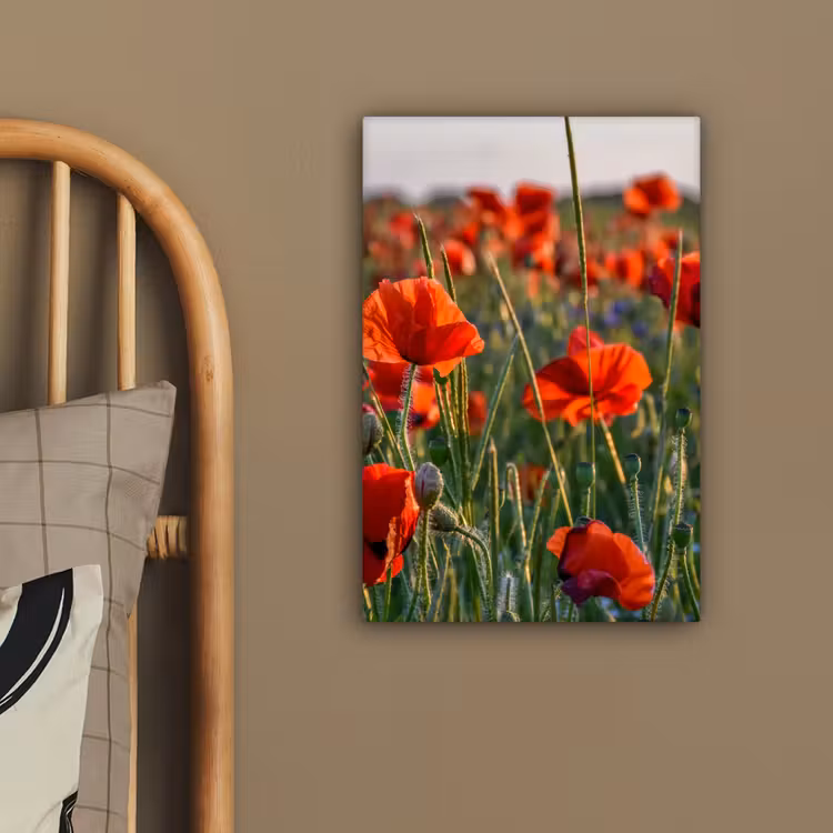 Bloemen - Klaprozen - Natuur - Rood canvas 2cm klein -closeup_print_DE