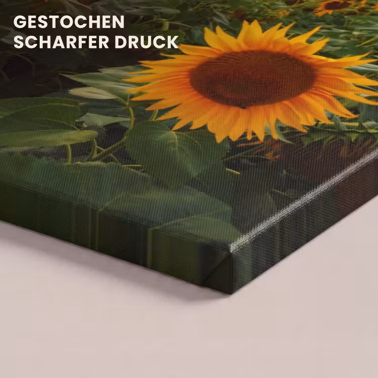 Bloemen - Nacht - Zonsondergang - Zonnebloem - Horizon canvas 2cm klein -closeup_print_DE