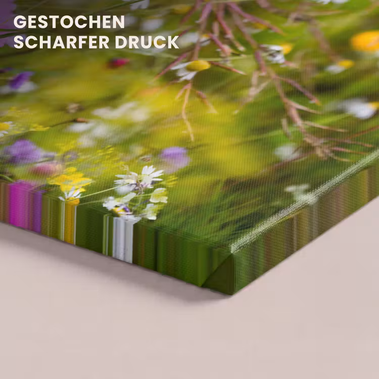 Bloemen - Natuur - Groen - Gras - Paars - Wit canvas 2cm klein -closeup_print_DE