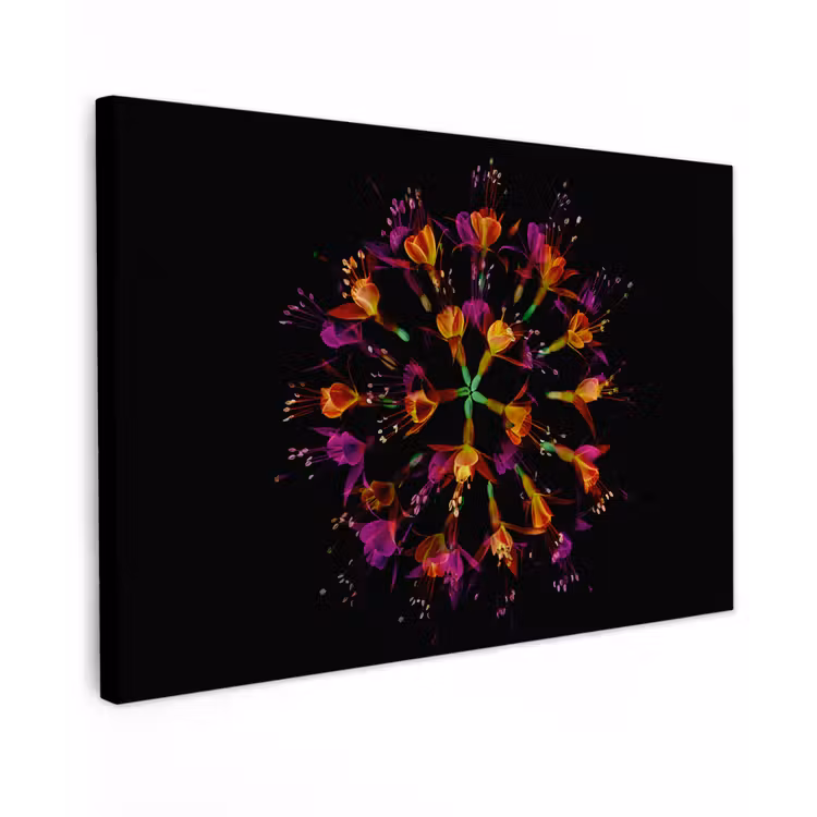 Bloemen - Oranje - Roze - Zwart canvas 2cm klein -z3d