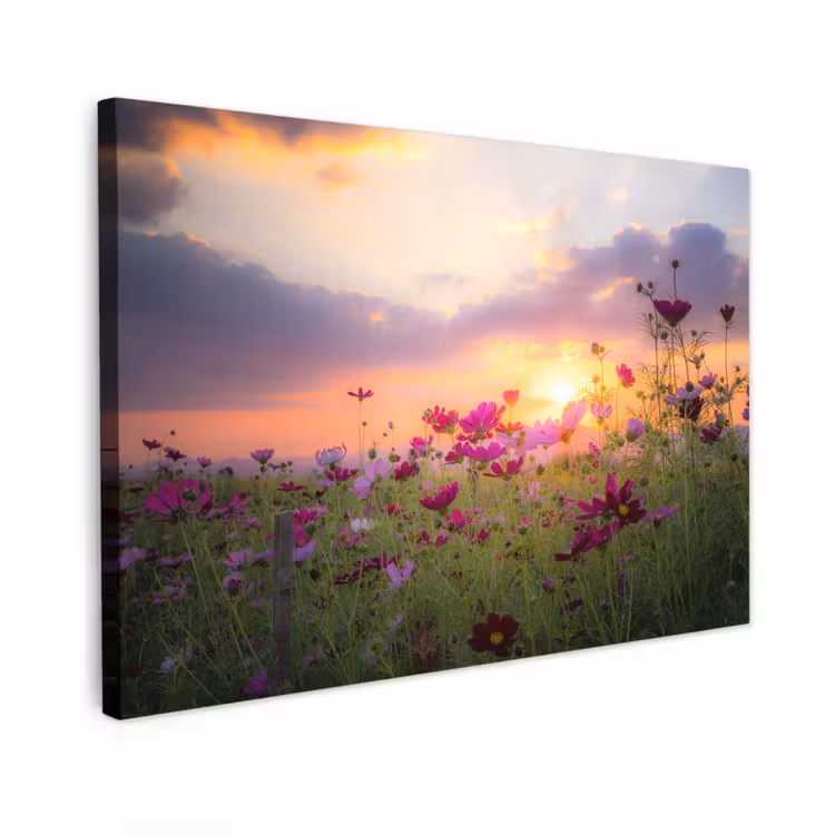 Bloemen - Roze - Zonsondergang - Natuur - Weide - Horizon canvas 2cm klein -z3d