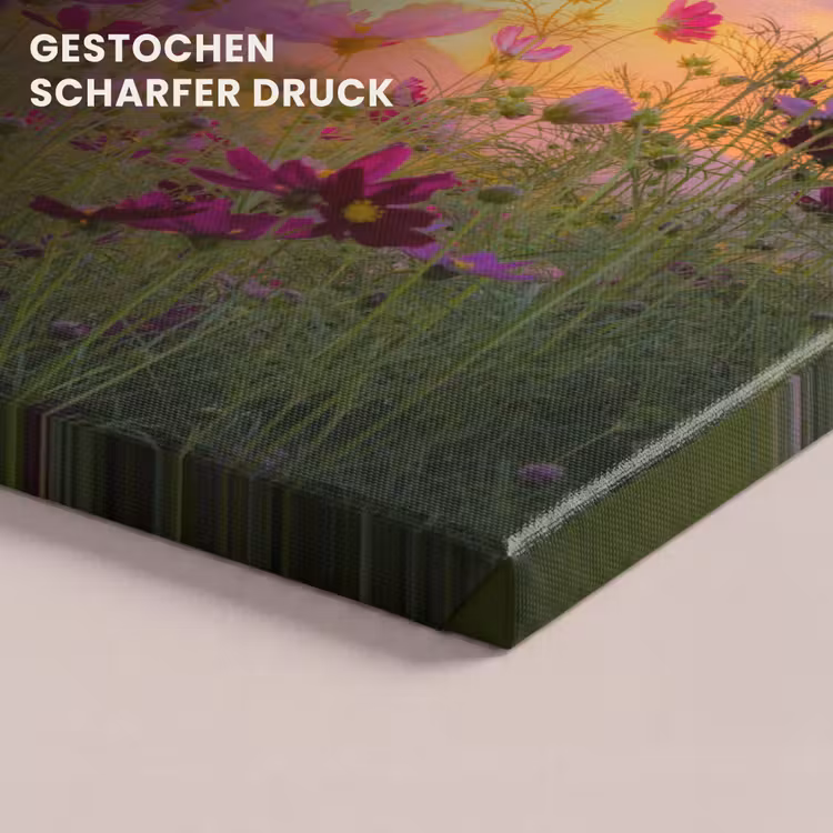 Bloemen - Roze - Zonsondergang - Natuur - Weide - Horizon canvas 2cm klein -closeup_print_DE