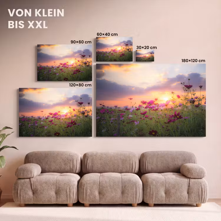 Bloemen - Roze - Zonsondergang - Natuur - Weide - Horizon canvas 2cm klein -Xsfeer8_DE