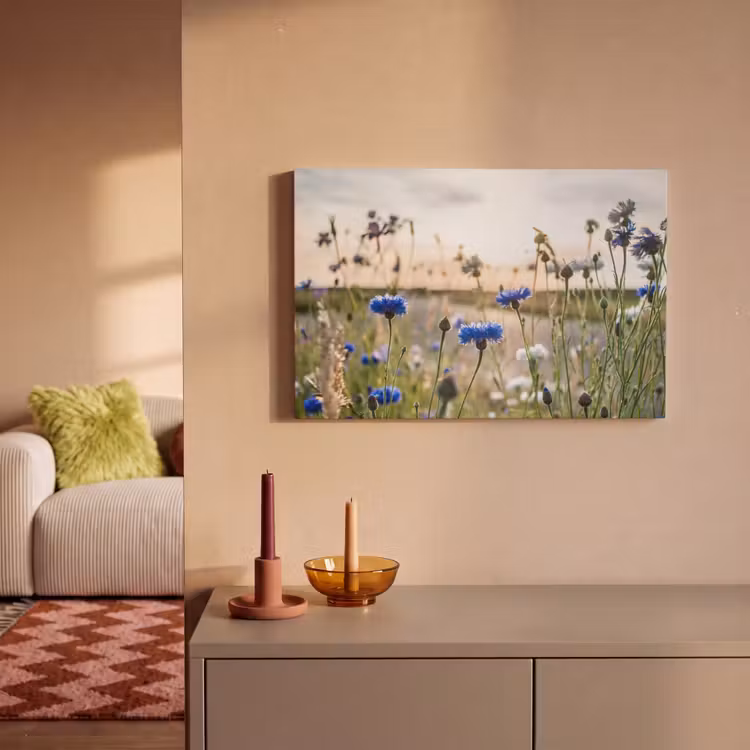 Bloemen - Zomer - Korenbloem - Blauw - Zon - Wolken canvas 2cm klein -sfeer1