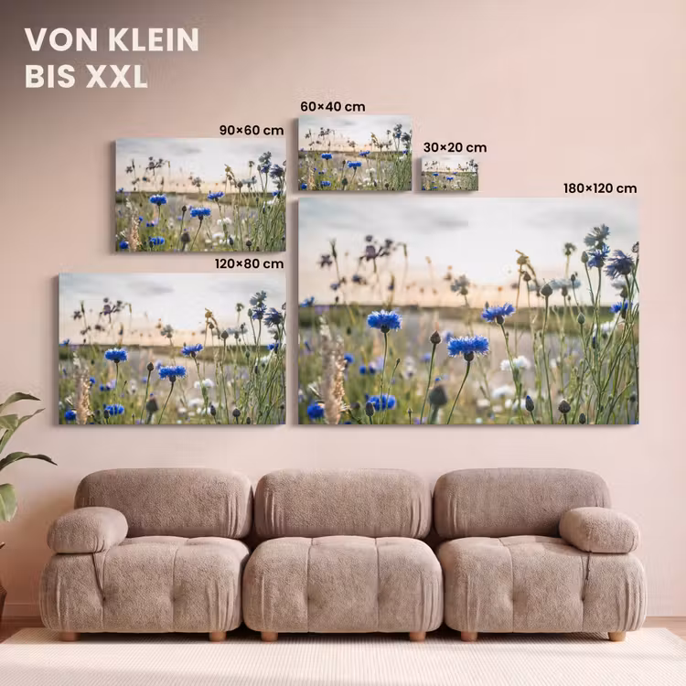 Bloemen - Zomer - Korenbloem - Blauw - Zon - Wolken canvas 2cm klein -Xsfeer8_DE