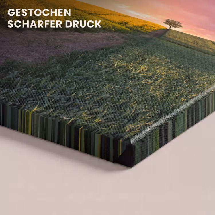 Bloemen - Weg - Lucht - Geel - Paars - Zonsondergang - Natuur canvas 2cm klein -closeup_print_DE