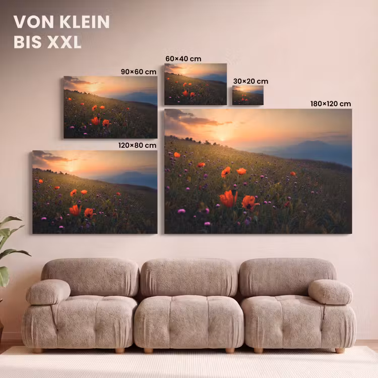 Bloemenveld - Gras - Bloemen - Planten - Zonsondergang - Oranje canvas 2cm klein -Xsfeer8_DE