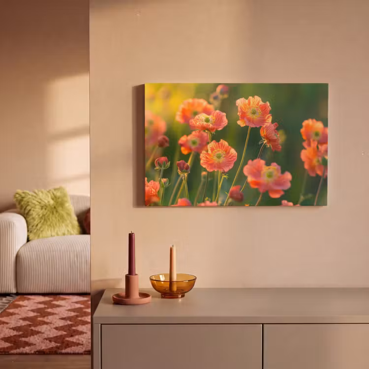 Bloemenveld - Zonnestralen - Oranje canvas 2cm klein -sfeer1