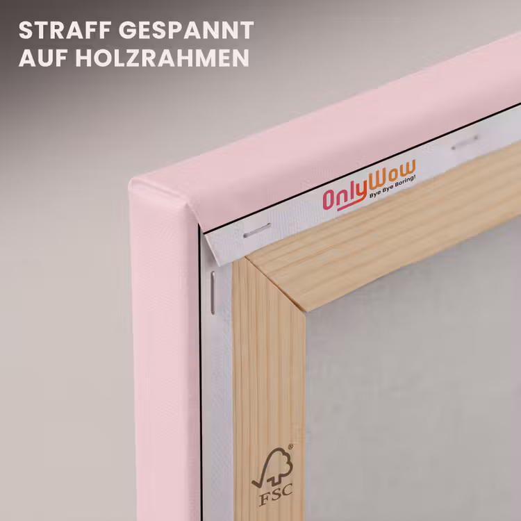 Blush - Pink - Roze canvas 2cm klein 34 -uniquesellingpoint_afwerking-onlywow_DE