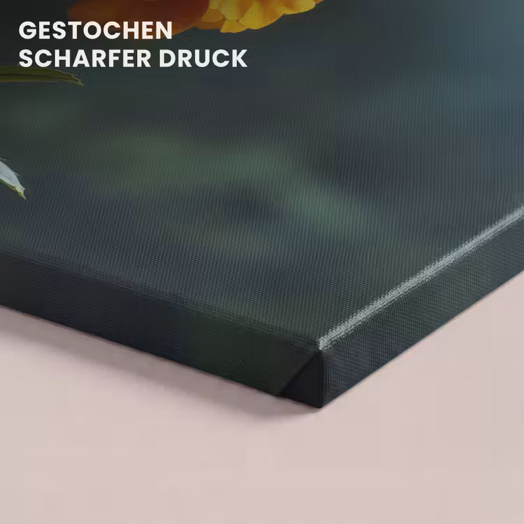 Bloemblaadjes - Afrikaan - Oranje - Wazig canvas 2cm klein -closeup_print_DE