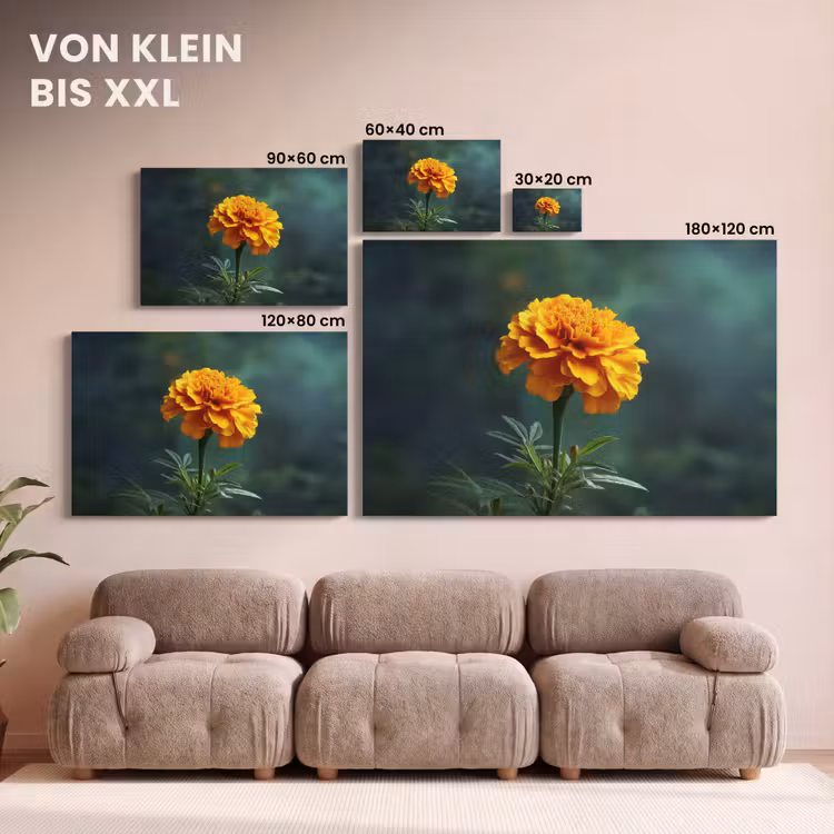 Bloemblaadjes - Afrikaan - Oranje - Wazig canvas 2cm klein -Xsfeer8_DE