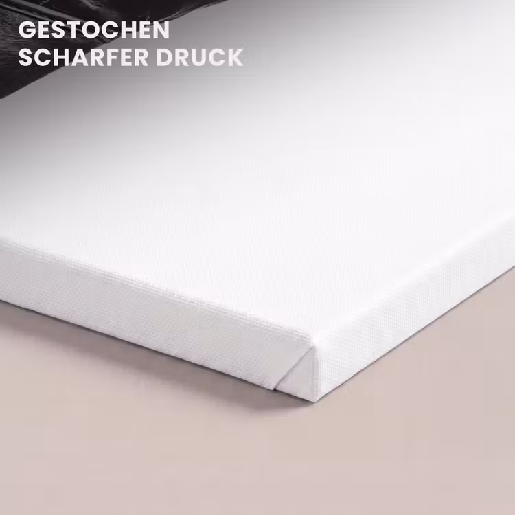 Bokshandschoen - Zwart - Hand canvas 2cm klein -uniquesellingpoint_afwerking-onlywow_DE