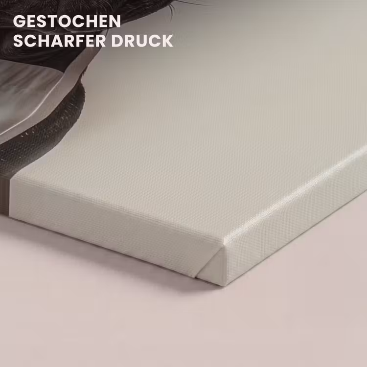 Bril - Hond - Kok canvas 2cm klein -uniquesellingpoint_afwerking-onlywow_DE